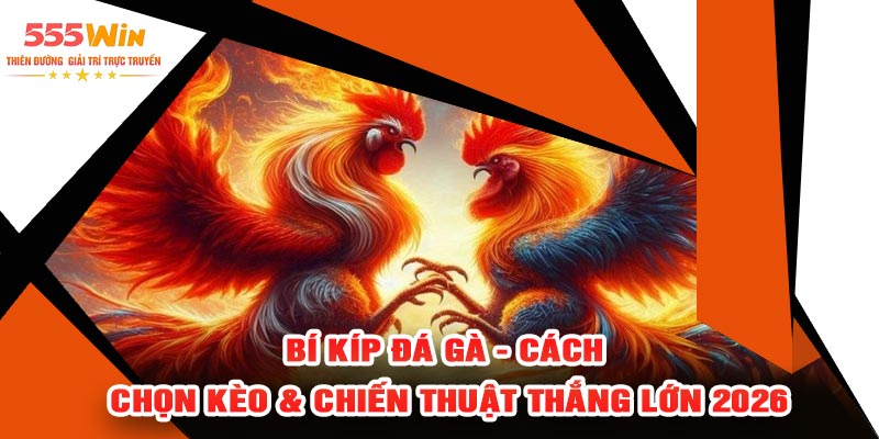 Bí Kíp Đá Gà - Cách Chọn Kèo & Chiến Thuật Thắng Lớn 2026