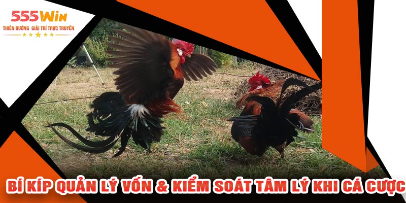 Bí Kíp Quản Lý Vốn & Kiểm Soát Tâm Lý Khi Cá Cược