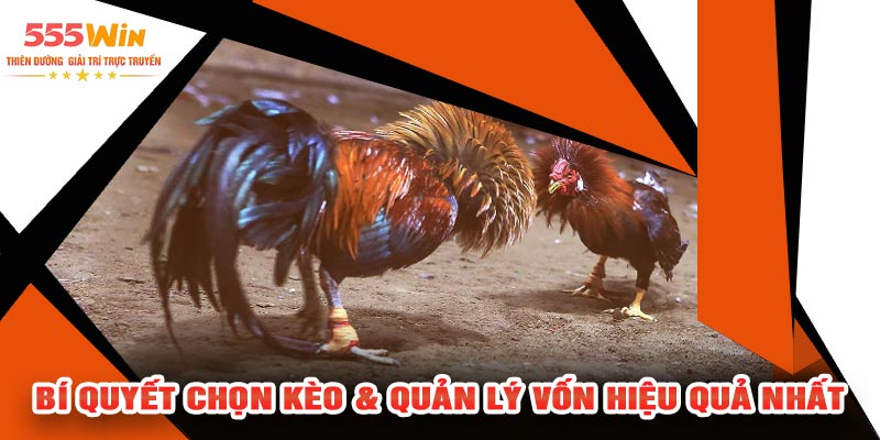 Bí Quyết Chọn Kèo & Quản Lý Vốn Hiệu Quả Nhất