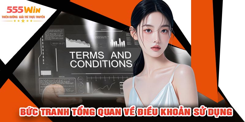 Bức Tranh Tổng Quan Về Điều Khoản Sử Dụng