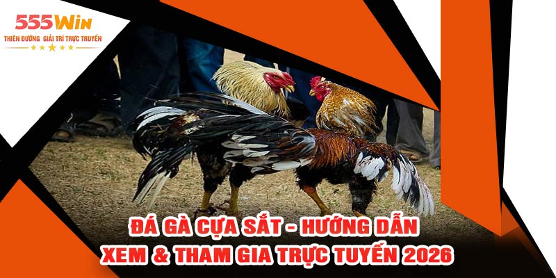 Đá Gà Cựa Sắt - Hướng Dẫn Xem & Tham Gia Trực Tuyến 2026