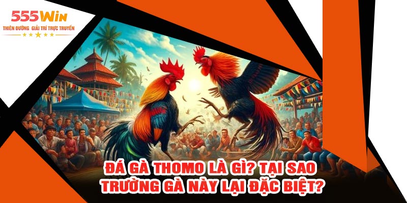 Đá Gà Thomo Là Gì? Tại Sao Trường Gà Này Lại Đặc Biệt?