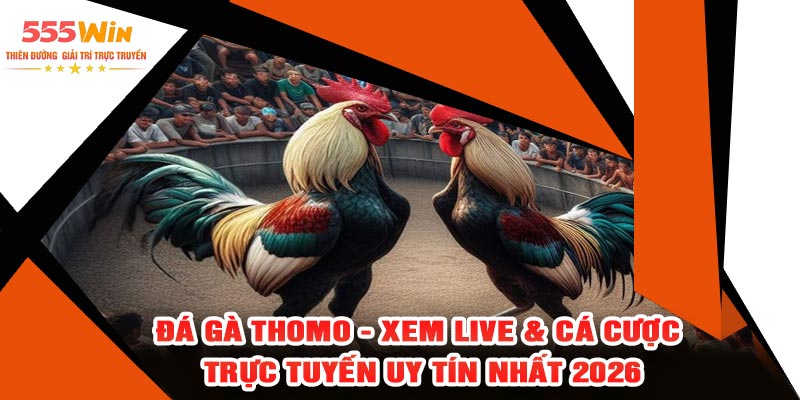 Đá Gà Thomo - Xem Live & Cá Cược Trực Tuyến Uy Tín Nhất 2026