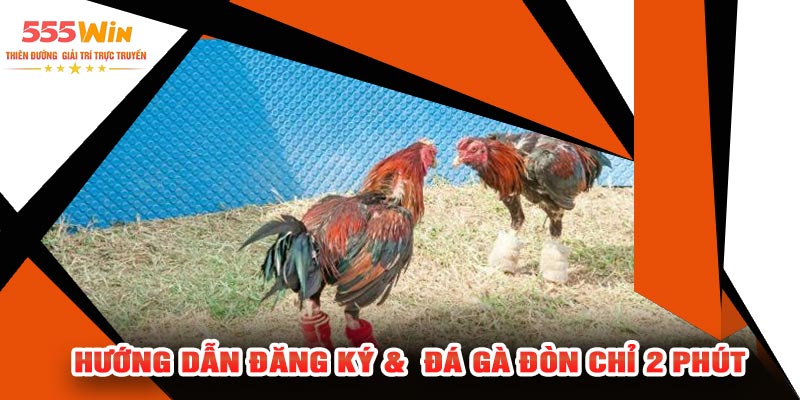 Hướng Dẫn Đăng Ký & Đá Gà Đòn Chỉ 2 Phút