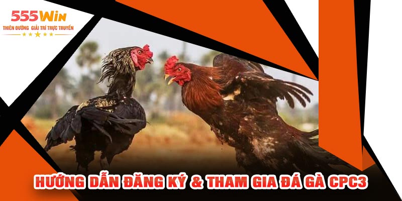 Hướng Dẫn Đăng Ký & Tham Gia Đá Gà CPC3