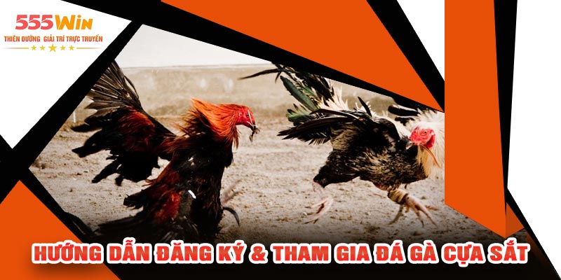 Hướng Dẫn Đăng Ký & Tham Gia Đá Gà Cựa Sắt