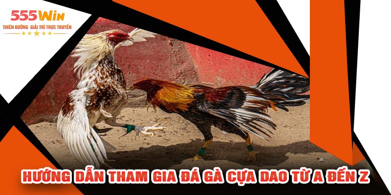 Hướng Dẫn Tham Gia Đá Gà Cựa Dao Từ A Đến Z