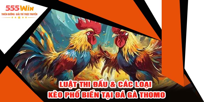 Luật Thi Đấu & Các Loại Kèo Phổ Biến Tại Đá Gà Thomo