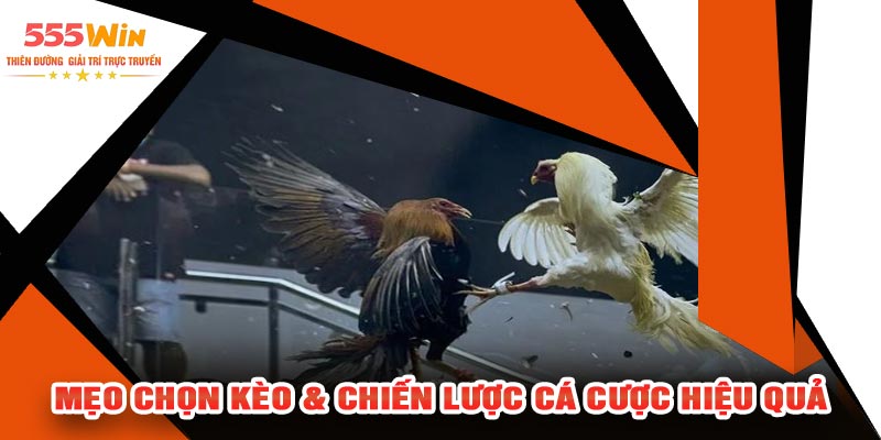 Mẹo Chọn Kèo & Chiến Lược Cá Cược Hiệu Quả