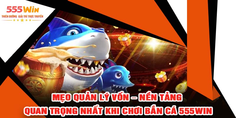 Mẹo Quản Lý Vốn – Nền Tảng Quan Trọng Nhất Khi Chơi Bắn Cá 555WIN