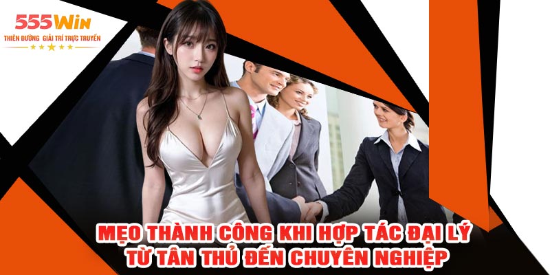 Mẹo Thành Công Khi Hợp Tác Đại Lý – Từ Tân Thủ Đến Chuyên Nghiệp