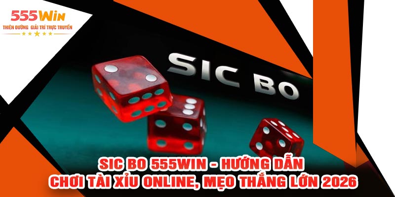 Sic Bo 555WIN - Hướng Dẫn Chơi Tài Xỉu Online, Mẹo Thắng Lớn 2026