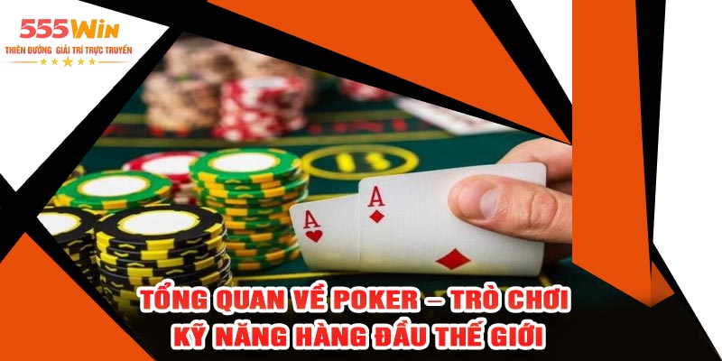 Tổng Quan Về Poker – Trò Chơi Kỹ Năng Hàng Đầu Thế Giới