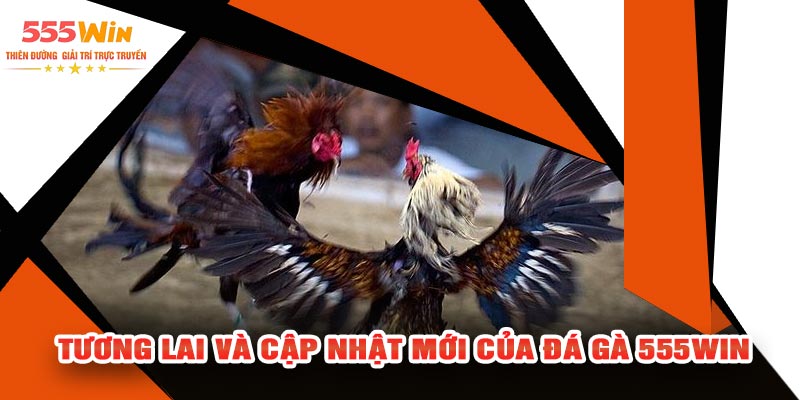 Tương Lai Và Cập Nhật Mới Của Đá Gà 555WIN